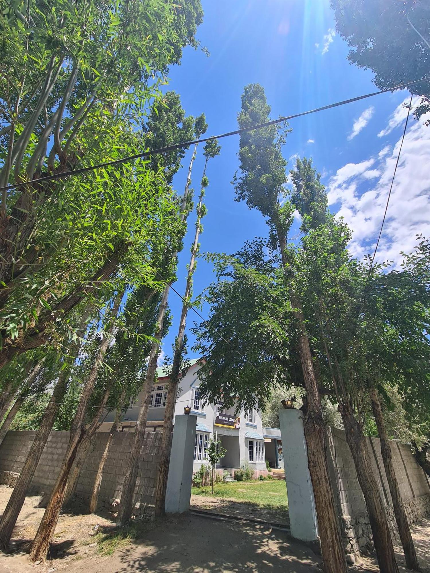 Rus Olive Lodge Skardu Exteriér fotografie